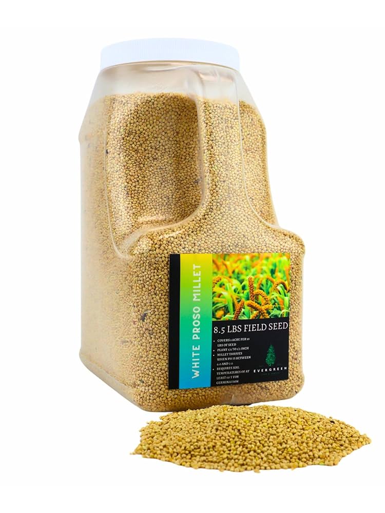 Evergreen Farm and Garden - Field White Millet and Bird Seed
